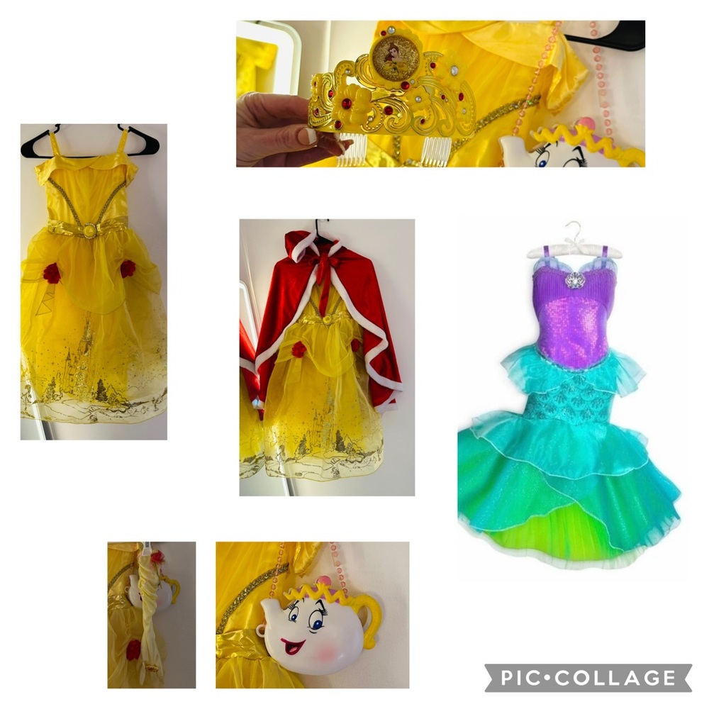 Disney Princess Dress up Bundle